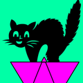 avatar for catship