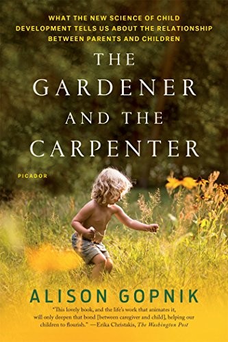 The Gardener and the Carpenter (Paperback, 2017, Picador)