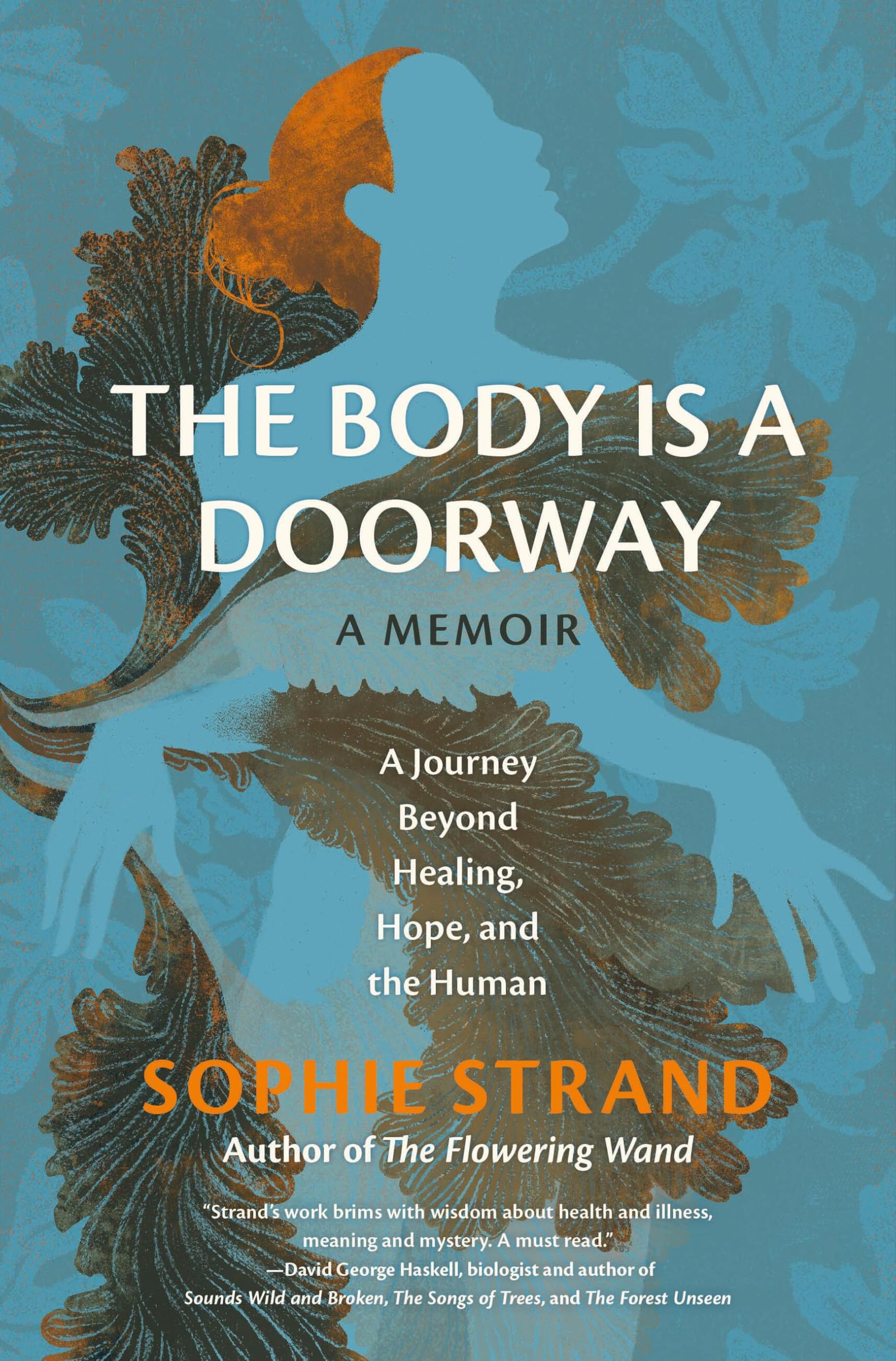 Sophie Strand: The Body Is a Doorway (Hardcover, 2025, Running Press Adult)