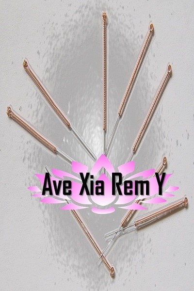 Mat Haz: Ave Xia Rem Y (EBook)