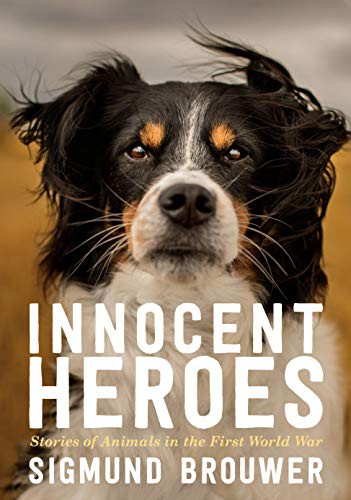 Sigmund Brouwer: Innocent Heroes (Paperback, 2020, Tundra Books)