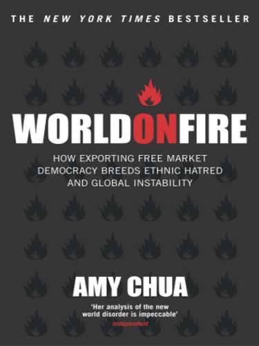 Amy Chua: World on Fire (EBook, 2010, Random House Publishing Group)