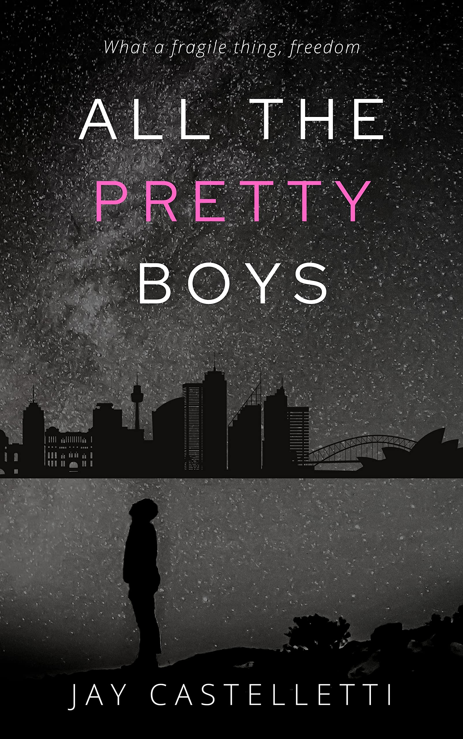 All the Pretty Boys (Paperback, 2021, Luxxmore)