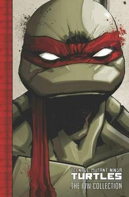 Sophie Campbell, Mateus Santolouco, Dan Duncan, Franco Urru, Valerio Schiti, Erik Burnham, Andy Kuhn, Charles Paul Wilson, Brian Lynch: Teenage Mutant Ninja Turtles: The IDW Collection Volume 1 (2015)