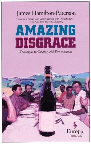 Amazing Disgrace (Paperback, 2006, Europa Editions)