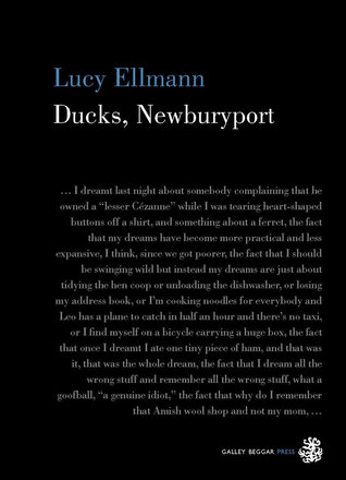 Ducks, Newburyport (2019, Galley Beggar Press)