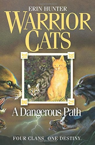 Dangerous Path (Paperback, 2007, HarperCollins Children's Books, imusti)