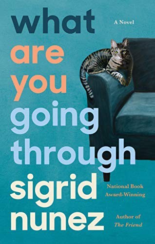What Are You Going Through (2020, Riverhead Books)