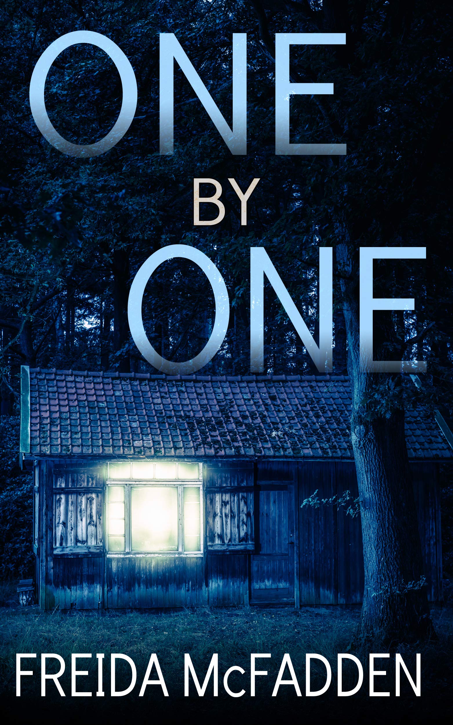 Freida McFadden: One by One