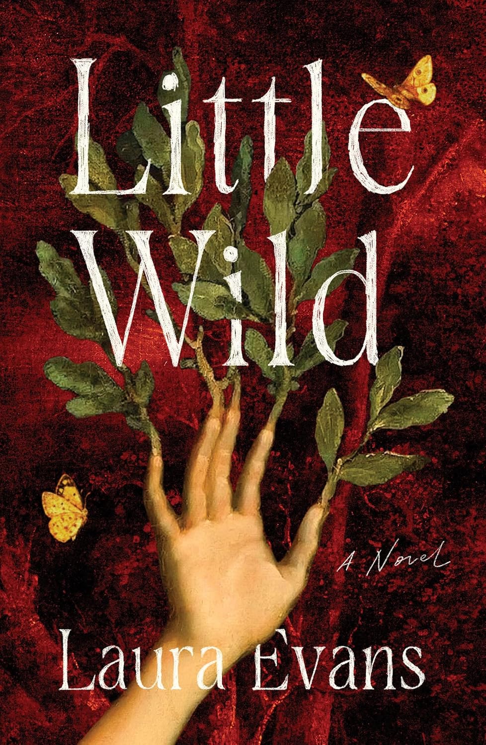 Laura Evans: Little Wild