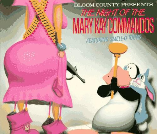 The night of the Mary Kay Commandos (1989, Little, Brown)