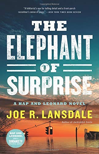The Elephant of Surprise (Hardcover, 2019, Mulholland Books)