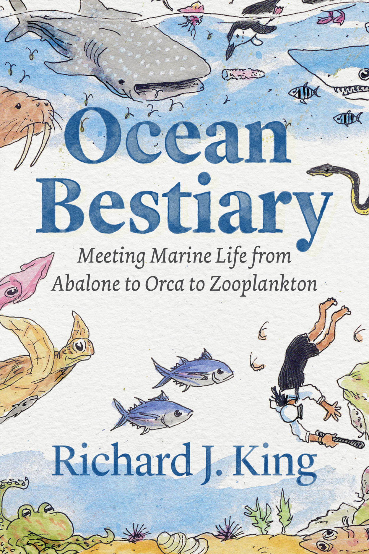 Ocean Bestiary (Hardcover, 2023, University of Chicago Press)