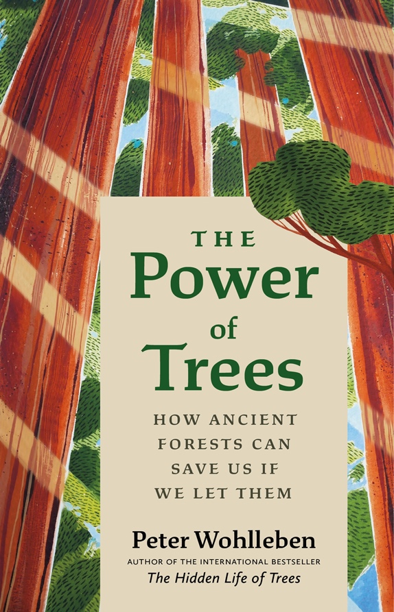 Peter Wohlleben: The Power of Trees (Hardcover, english language, 2023, Grey stone Books)