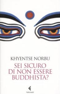 Dzongsar Jamyang Khyentse: Sei sicuro di non essere buddhista? (Italian language, 2007, Feltrinelli)