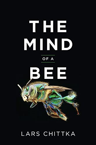 Lars Chittka: The Mind of a Bee (Paperback, 2023, Princeton University Press)