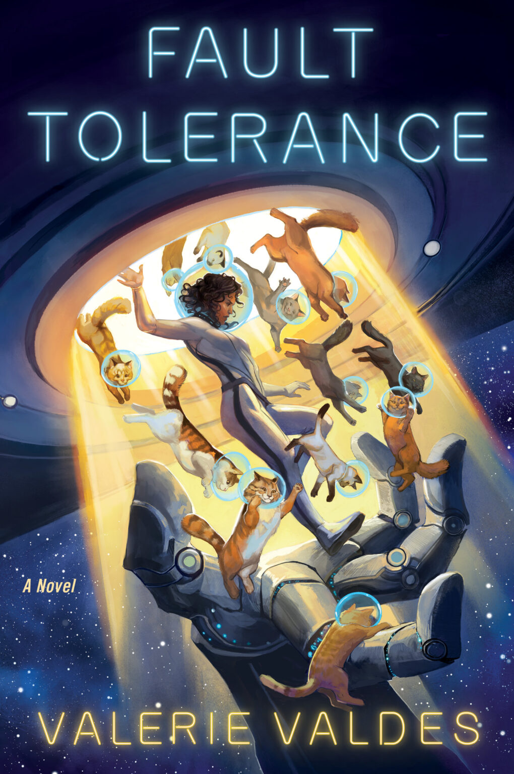 Fault Tolerance (2022, HarperCollins Publishers)