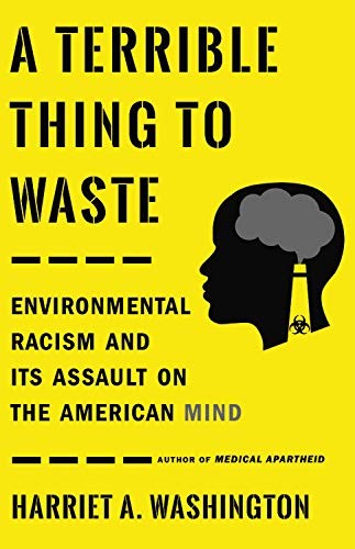 Harriet A. Washington: A Terrible Thing to Waste (Paperback, 2020, Little, Brown Spark)