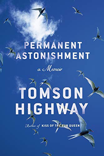 Permanent Astonishment (Hardcover, 2021, Doubleday Canada)