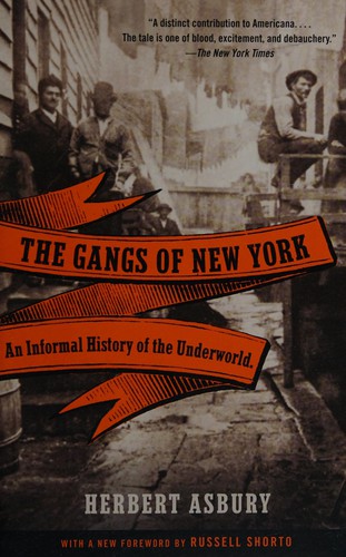 The Gangs of New York (Paperback, 2008, Vintage)
