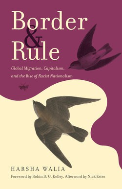 Border and Rule (2021, Haymarket Books)