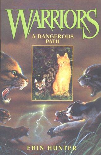 A Dangerous Path (2004, HarperCollins)