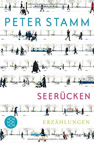 Peter Stamm: Seerücken (Paperback, 2012, FISCHER Taschenbuch)