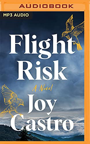 Flight Risk (AudiobookFormat, 2021, Brilliance Audio)