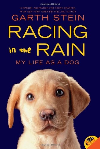 Garth Stein: Racing in the rain (Paperback, 2011, Harper)