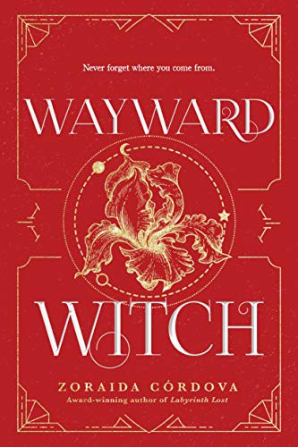 Wayward Witch (Hardcover, 2020, Sourcebooks Fire)