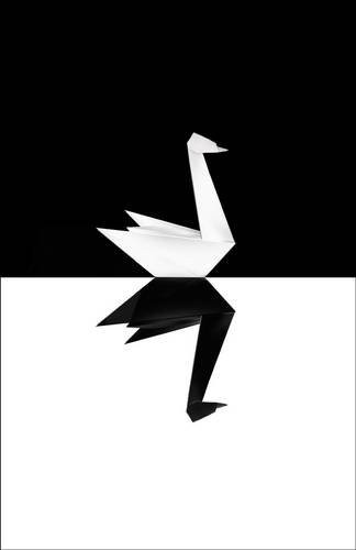 The Black Swan (Hardcover, 2007, Random House)