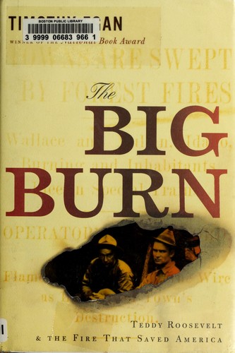 The big burn (2009, Houghton Mifflin Harcourt)