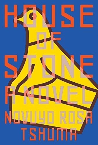 House of Stone (Hardcover, 2019, W. W. Norton & Company)