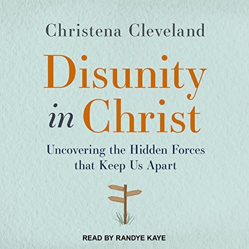 Christena Cleveland, Randye Kaye: Disunity in Christ (AudiobookFormat, 2017, Tantor Audio)