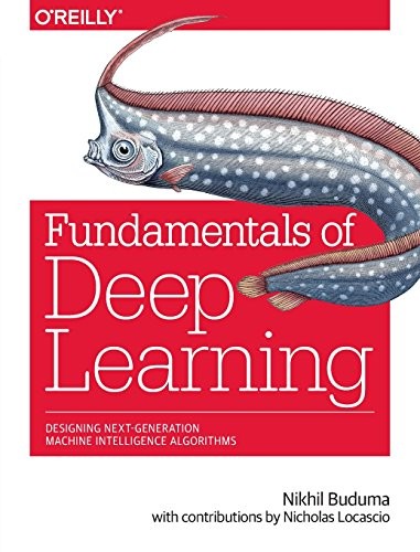 Fundamentals of Deep Learning: Designing Next-Generation Machine Intelligence Algorithms (2017, O'Reilly Media)