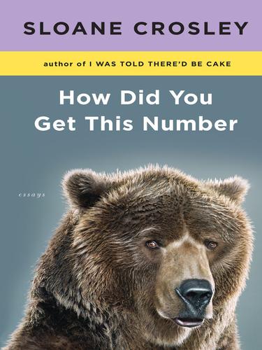 Sloane Crosley: How Did You Get This Number (EBook, 2010, Penguin USA, Inc.)