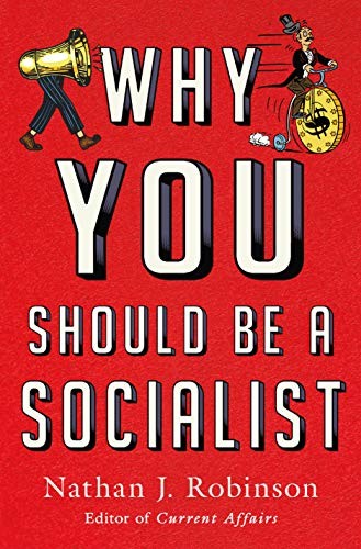 Why You Should Be a Socialist (Hardcover, 2019, All Points Books)