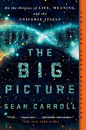 Sean M. Carroll: The Big Picture (Paperback, 2017, Dutton)