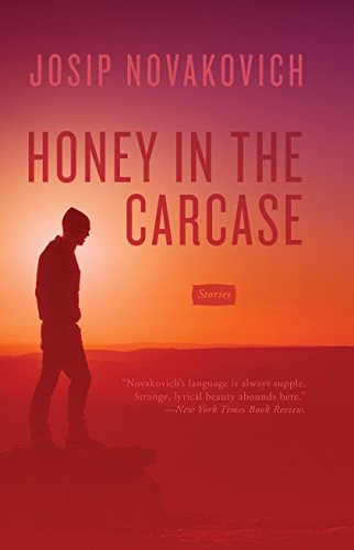 Honey in the Carcase (Paperback, 2019, Dzanc Books)