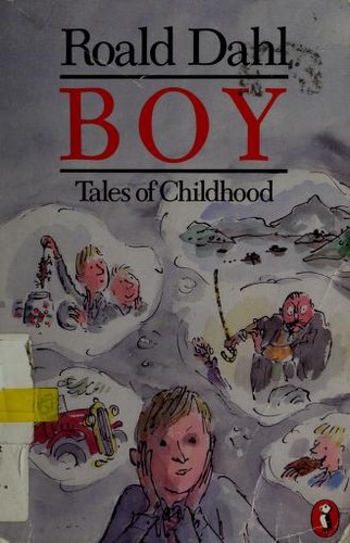 Boy (Paperback, 1988, Puffin Books)