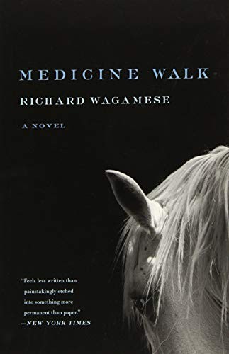 Medicine Walk (Paperback, 2016, Milkweed Editions)