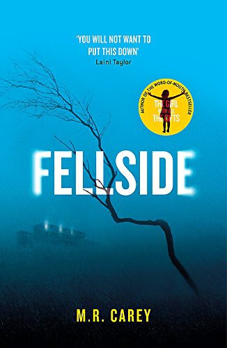 Fellside (Paperback, Orbit)