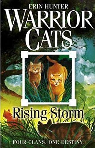 Rising Storm (Paperback, 2006, HarperCollins Children's Books, imusti)