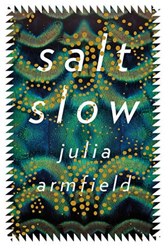 salt slow (Hardcover, 2019, Flatiron Books)