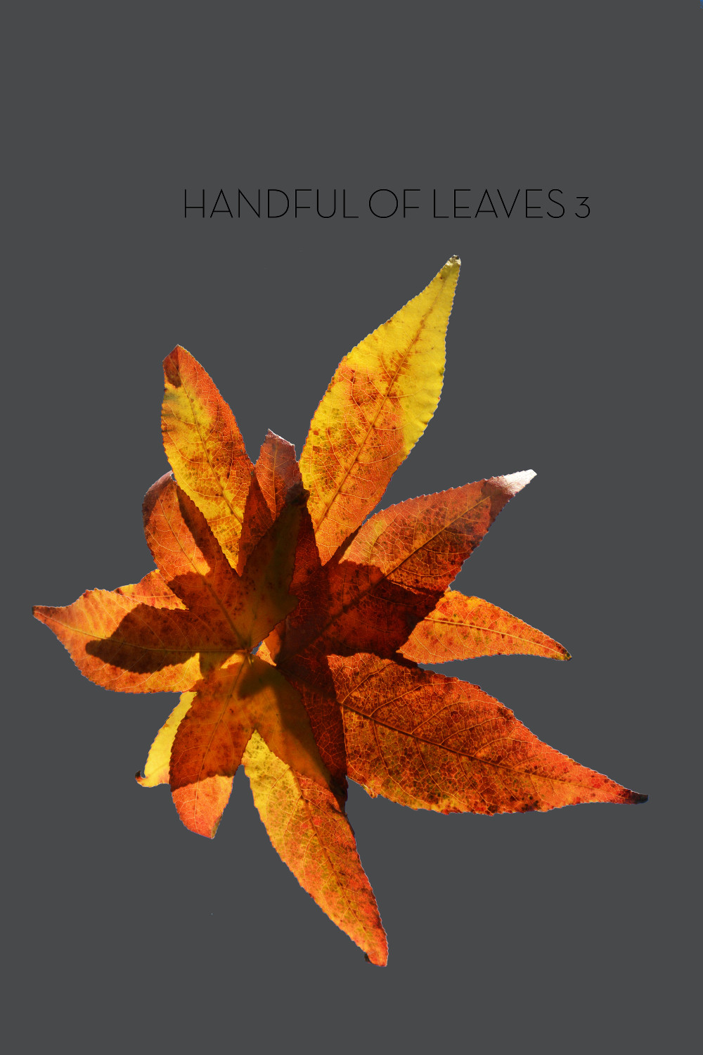 Handful of Leaves, Volume III: an Anthology from the Saṁyutta Nikāya (2019, Metta Forest Monastery)