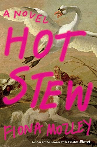 Fiona Mozley: Hot Stew (Hardcover, 2021, Algonquin Books)