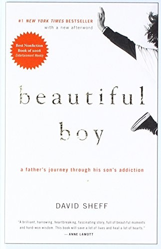 David Sheff: Beautiful Boy (Hardcover, 2009, Perfection Learning)