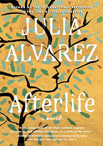Afterlife (Hardcover, 2020, Thorndike Press Large Print)