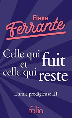 L'amie prodigieuse Tome 3 (French language, 2019)