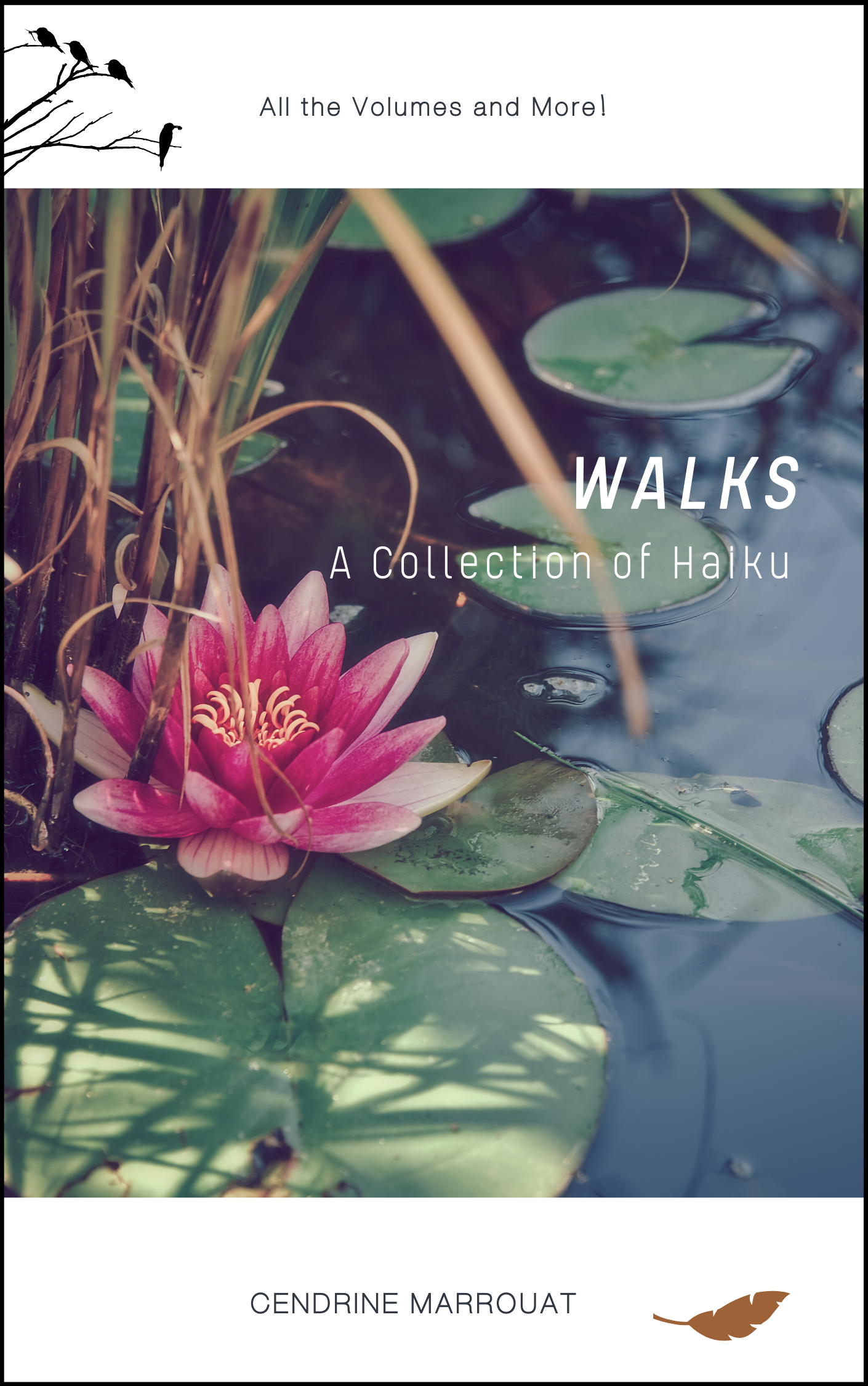 Walks: A Collection of Haiku (Paperback, 2020, Independently published)
